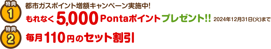 特典1 都市ガスポイント増額キャンペーン実施中 もれなく5,000Pontaポイントプレゼント!! 2024年12月31日(火)まで 特典2 毎月110円のセット割引